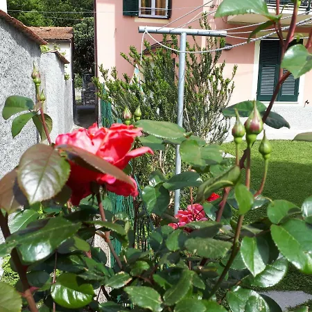 Apartment Enrica Moneglia
